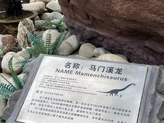 -陕西自然博物馆