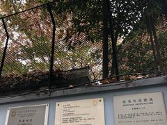 -巴金故居