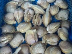 -山东八大碗山东老字号