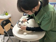 -瑞鹏宠物医院·骨科·猫科·内科(第一中心)