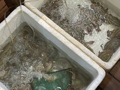 -健眺小海鲜(临海后山店)