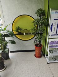 -北京豆豆博士专业祛痘