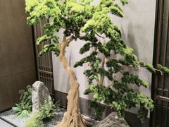 -百富源·海鲜辽菜(和平北大街店)