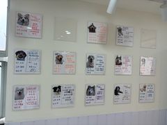 -汪说·狗咖·拼豆·宠物周边DIY(旺城大厦店)