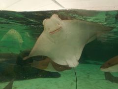-新加坡水上探险乐园