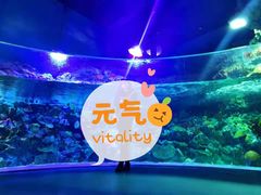 -海合安成都极地海洋公园