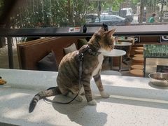 -叁秋咖啡 SANQIU COFFEE(天津河北路店)