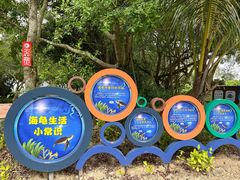-广东惠东海龟国家级自然保护区