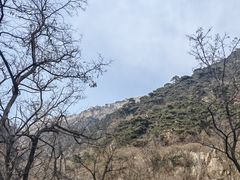 -泰山风景名胜区