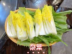 -南海鸽天下(肇庆店)