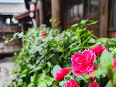 -滇藏石锅宴(崇仁巷老店)