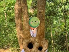 -上海佘山国家森林公园天马山园