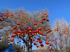 -八大处公园