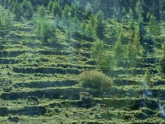 -云座·时光·观景咖啡厅(五爷庙店)