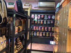 -喵百万·布偶·蓝金金渐层英短·猫舍(百子湾店)