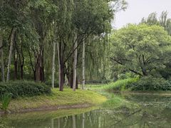 -北坞公园