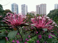 -晓港公园