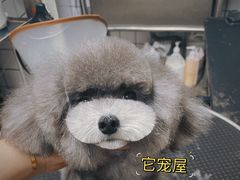 -仁普宠物诊所(住友昌盛新苑店)