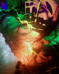 -恐龙探索乐园(磁器口店)