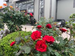-香雪海饭店中餐厅(人民桥店)