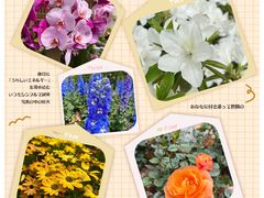 -上海滨江森林公园