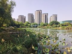 -新江湾城公园