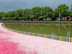 -苏州太湖西山岛开心农场