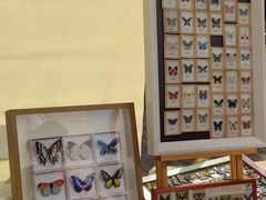 -南京市规划建设展览馆