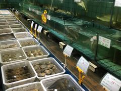 水产区-海岛渔村大酒店(云霄路店)