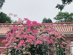 -石峰岩寺