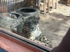-青藏高原野生动物园