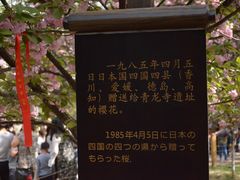 -西安青龙寺遗址景区