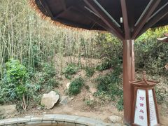 -徂徕山森林康养度假谷温泉