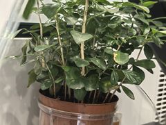 -北芒BEIMO COFFEE(五台山店)