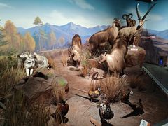 -陕西自然博物馆