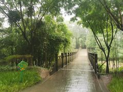 -重庆彩云湖湿地公园