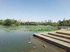 -新江湾城公园