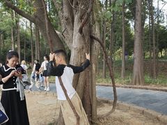 -东湖落雁景区