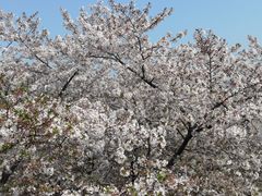-苏州上方山国家森林公园