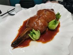 -丁老爷子苏香圆