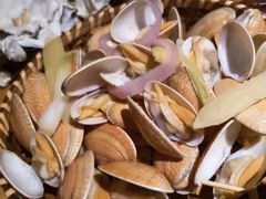 -路边摊小炉子烧烤