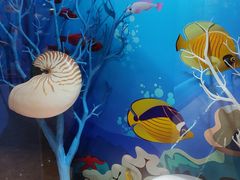 -多彩贵州城极地海洋世界