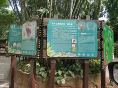 -海南热带野生动植物园