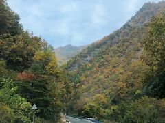 -秦岭风景区
