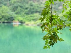 -楠溪江风景名胜区