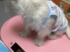 -创凡宠物医院·骨专科  猫科中心(西乡分院)