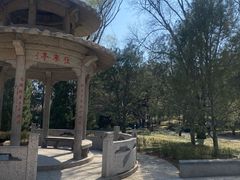 -玲珑塔公园