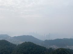-大金鹰园