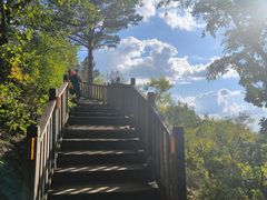 -帽儿山国家森林公园