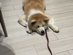 -YCHL Studios健身工作室(市二宫店)